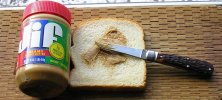 Peanut Butter Spreader 1 .jpg