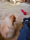 20230218_074601.jpg