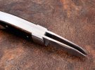 tbose-DECattle-Germanbone-6.jpg