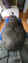 20230225_074943.jpg