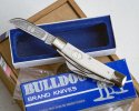 Bulldog Ivory Congress-2.jpg