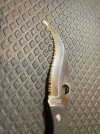 IMG_8349.jpeg