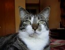 Bella 4.JPG