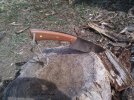 IMG_20130331_100720-small.jpg