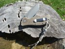 Snow,Doves,0200 Knife 015.jpg