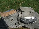 ZT's Apr 01  +1 005.jpg