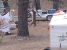 Elk Hunt 2012 070.jpg