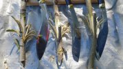 BSI Feather Sticks.JPG