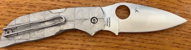 SMALL Chaparral.JPG