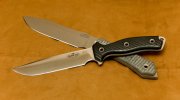 SRKW_TazRat-RMDxLE27.jpg