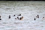 2023-02-28 Lake Atalanta (1).JPG