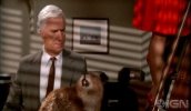 top-5-movie-beavers-20110610032336751.jpg