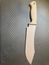 IMG_8357.jpeg
