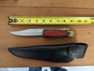 Laguioile Flipper Closed.jpg