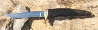 102.Buffalo.Tine.092621 01.JPG