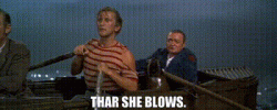 6b6af888-f53e-431e-bf4d-3a023a4e27be_text.gif