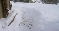 Snow 1 .jpg