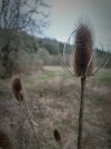 20230220_142950_copy_2080x2774.jpg