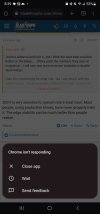 Screenshot_20230307_203939_Chrome.jpg