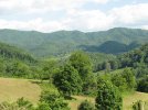 IMG_0299.JPG