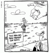 pirate pests reality2006062035724.gif