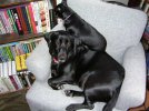 Barka&Zoe1.jpg