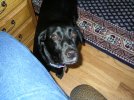 Friend Barkley May 2005.jpg