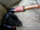 Bark & Bolo back 1.jpg