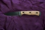 DWMS Fatty - 002.JPG