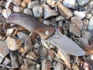 ZT0350.jpg