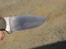 hamon hunter 014 (1024x768).jpg hamon hunter 014 (1024x768).jpg