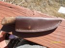 151352100koasheath.jpg