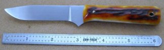 52100 & Amber Stag 001.jpg