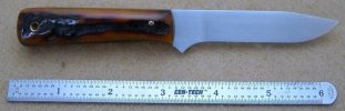 52100 & Amber Stag 002.jpg