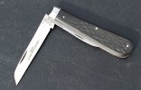 KIMG8243~2.JPG