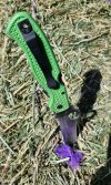 Purple alfalfa string and Atlantic Salt.jpg