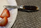 71BBC512-C670-410F-8D72-D5042B8CBE66.jpeg