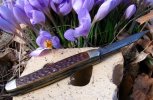 bustedspring.crocus.1.jpg