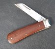 KIMG8407~2.JPG