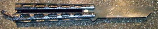 100_0575.JPG