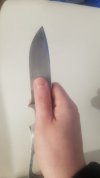 20230317_015905.jpg