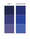 GEC-Blue.jpg