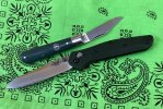 redtrout940 1.JPG