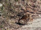 IMG_9540.JPG