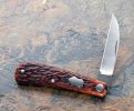 khampton-314boneSBJshadow-5sm.jpg