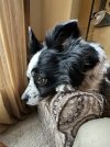 IMG_4394.jpeg
