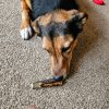 20230323_075943.jpg