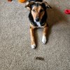 20230323_075959.jpg