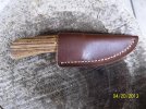 420131095zebrasheath.jpg