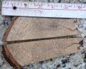 burl3.jpg
